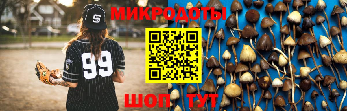 Галлюциногенные грибы GOLDEN TEACHER  Вход с VPN  Луховицы 